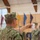 Echo and Foxtrot Company of Officer Candidate School (OCS) class 17-19, competes against each other in a drill ceremony competition here at Officer Training Command, Newport, Rhode Island, (OTCN) on Aug. 8, 2019. Echo and Foxtrot Company of Officer Candidate School (OCS) class 17-19, competes against each other in a drill ceremony competition here at Officer Training Command, Newport, Rhode Island, (OTCN) on Aug. 8, 2019.