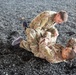 1st TSC Conducts Combatives During Blackjack Training