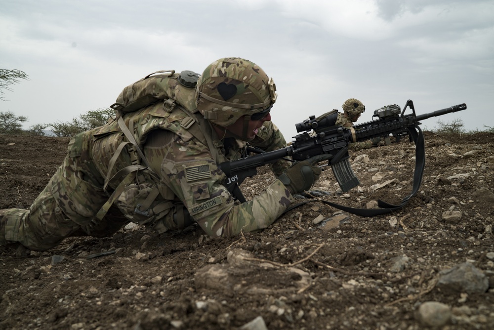 101st Airborne low crawl during live fire training