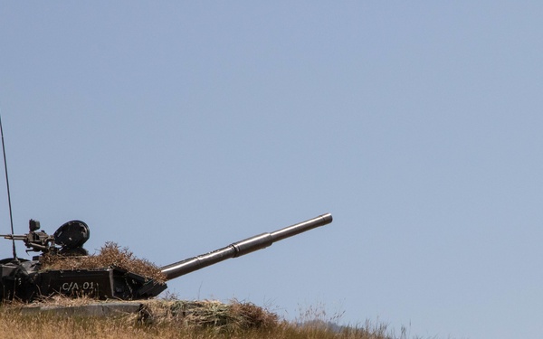 Agile Spirit 19 - Closing ceremony live-fire