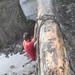 Fort Drum community members get down and dirty at annual Mountain Mudder