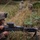 1-4 CAV Bradleys prepare for multinational exercise