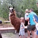 Kids learn from animals: Library doubles as ‘zoo’