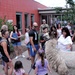 Kids learn from animals: Library doubles as ‘zoo’