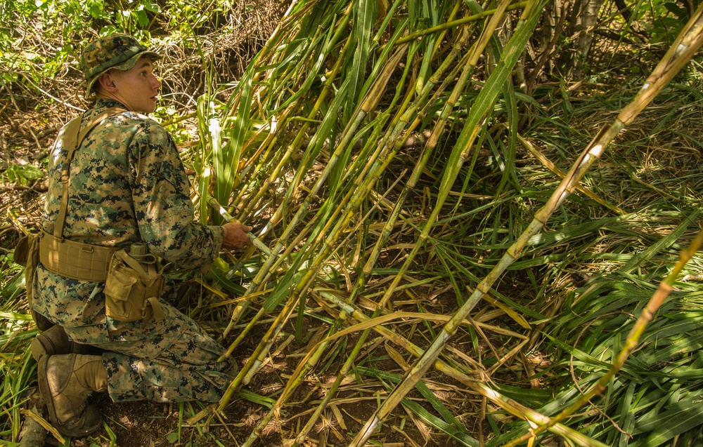 Marines endure Jungle Warfare Training in Honduras