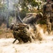 MRF-D Marines conduct fire support coordination exercise