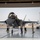 ADAB’s F-35 squadron forward deploys for Agile Lightning ADAB’s F-35 squadron forward deploys for Agile Lightning