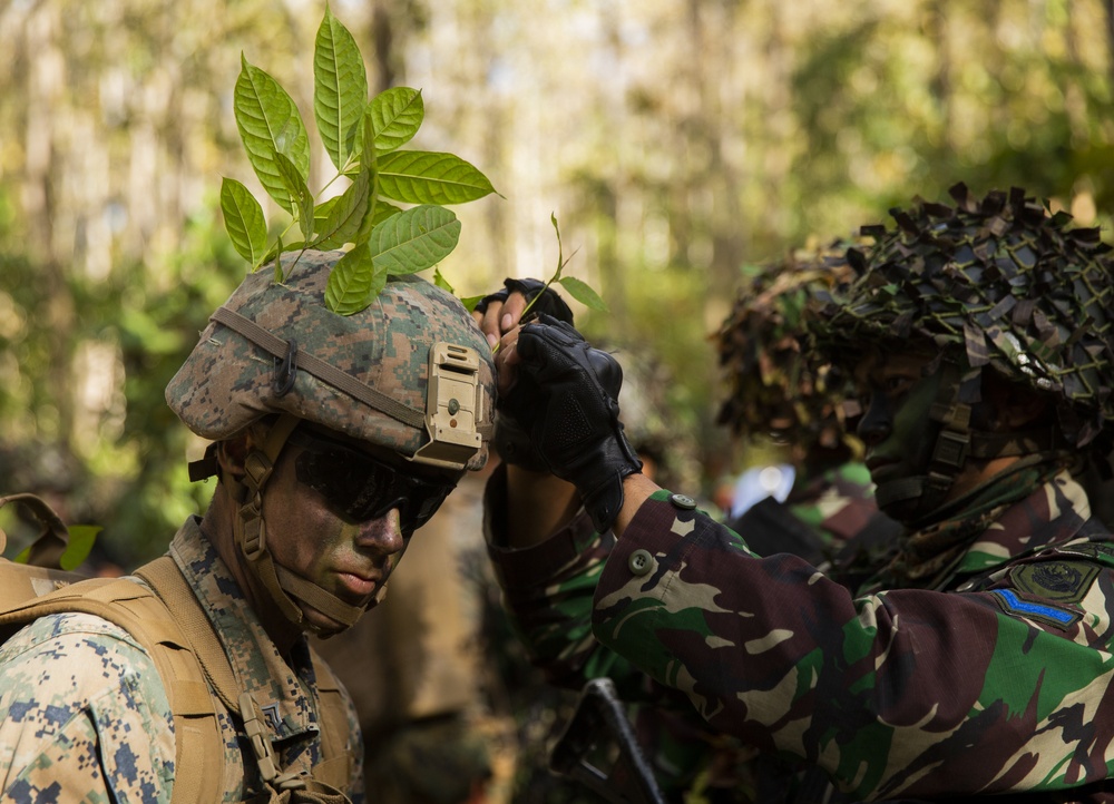 U.S. Marines and sailors conduct a jungle patrol during CARAT Indonesia