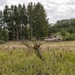 The 3rd Battalion, 66th Armor Regiment and 1st Engineer Battalion, 1st Armored Brigade Combat Team, 1st Infantry Division, conducted combined arms live-fire exercises