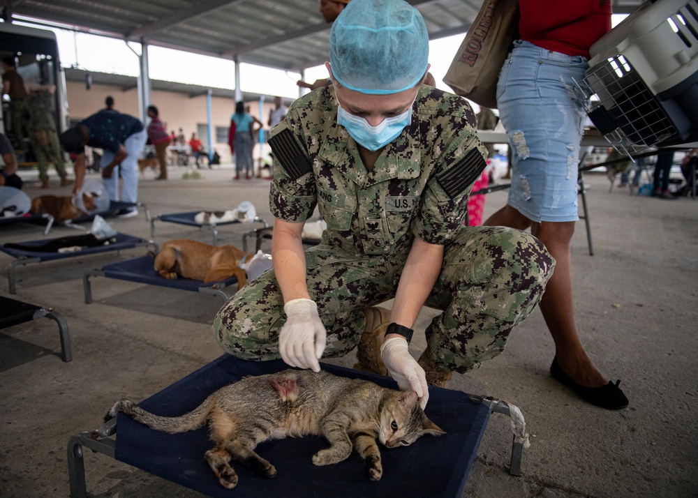 USNS Comfort assists mobile spay and neuter clinic
