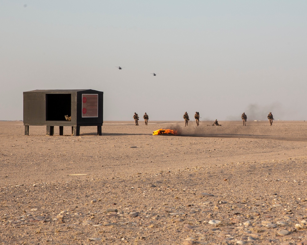 11th MEU Tactical Recovery of Aircraft and Personnel Exercise in Kuwait