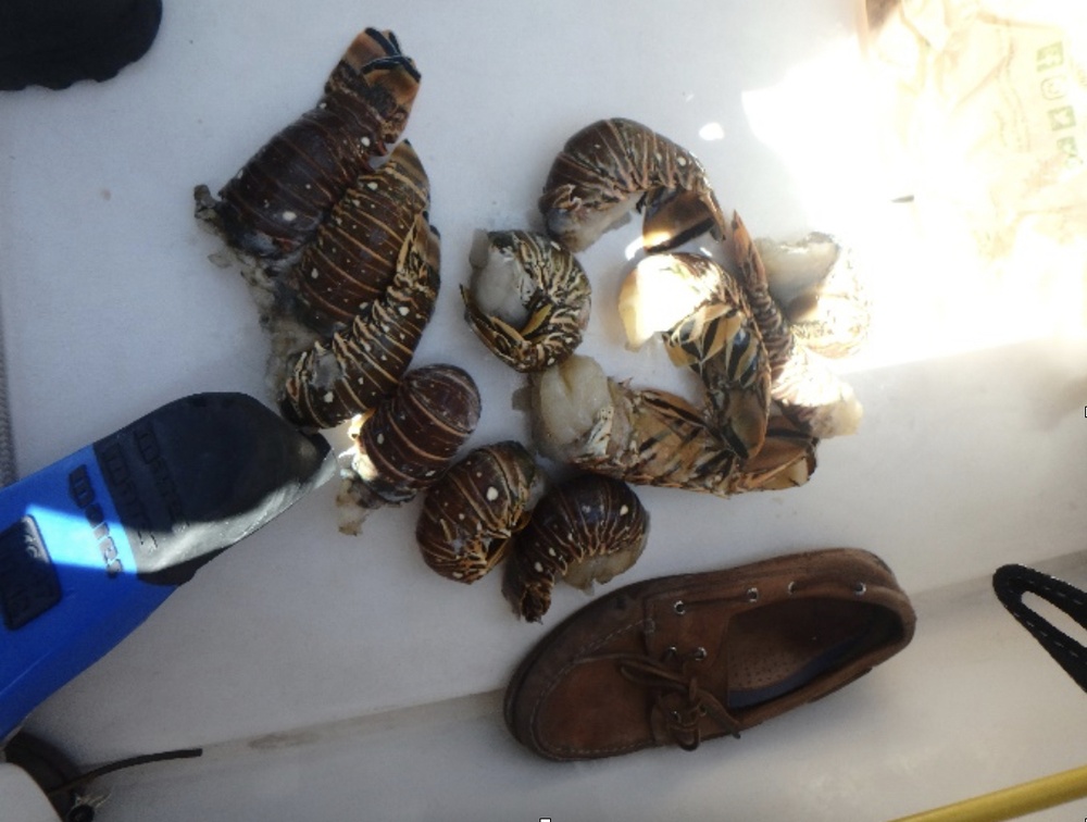 Coast Guard terminates voyage of vessel 17 miles east of Hollywood