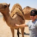 Task Force Cavalier Candid Camel