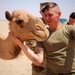 Task Force Cavalier Candid Camel