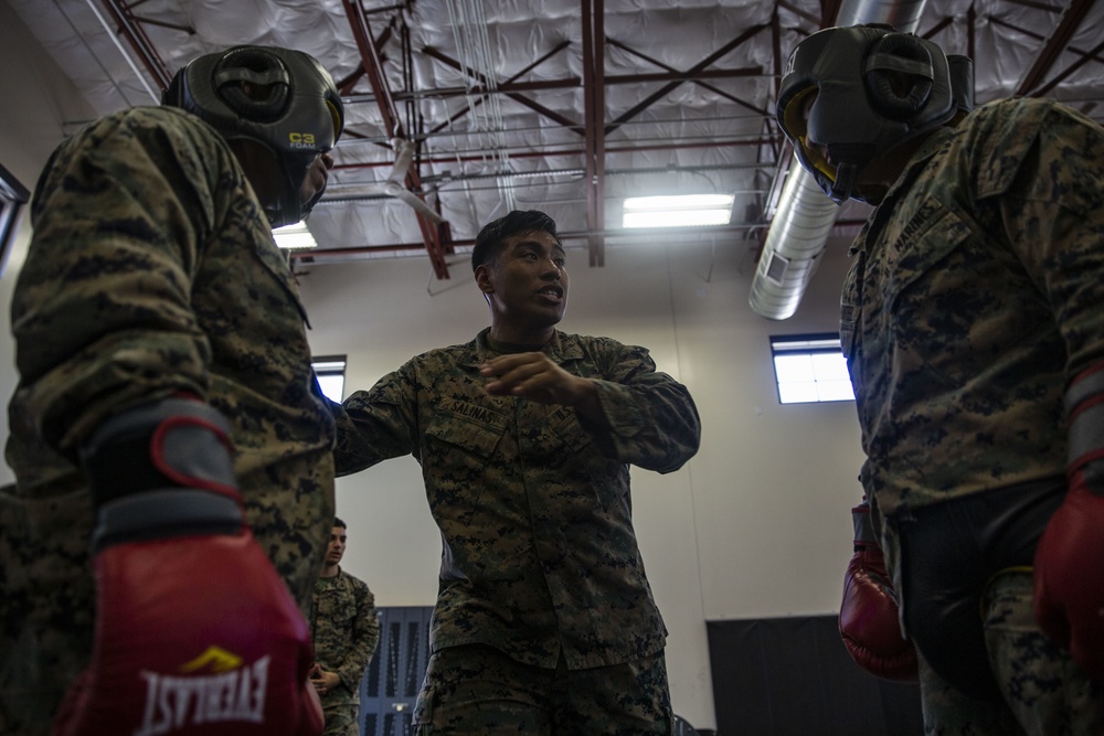 Marines conduct free sparring as part of MAIT course