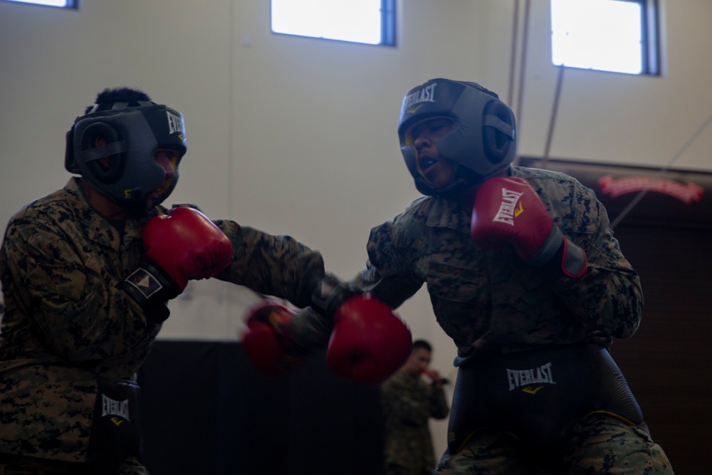 Marines conduct free sparring as part of MAIT course