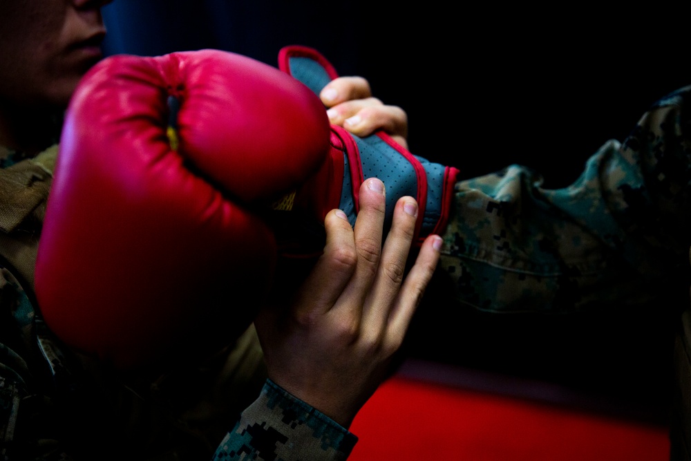 Marines conduct free sparring as part of MAIT course