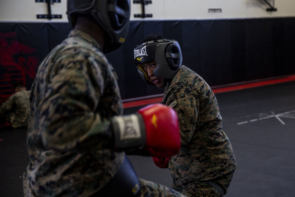 Marines conduct free sparring as part of MAIT course