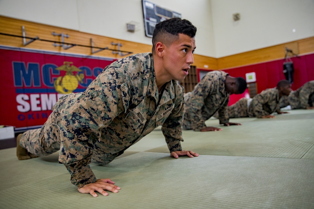 Marines train to become MCMAP instructors