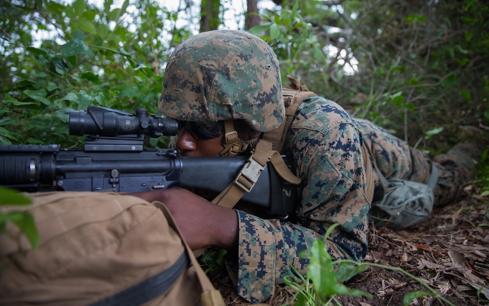 Marines partake in a combat scenario