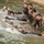 U.S. Soldiers participate in Water Survival Course in Poland