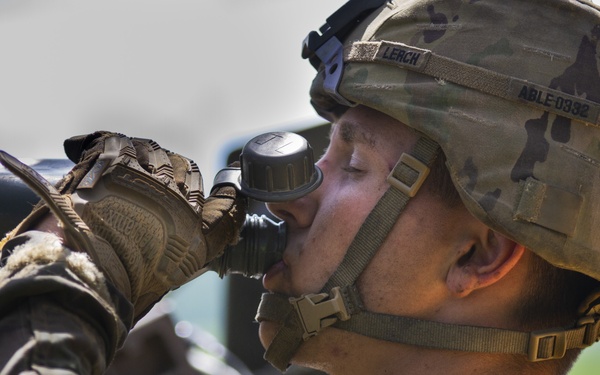 Field day for Field Artillery