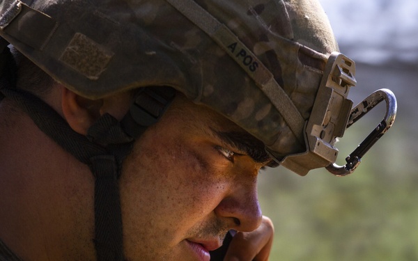 Field day for Field Artillery