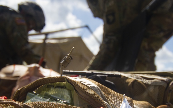 Field day for Field Artillery