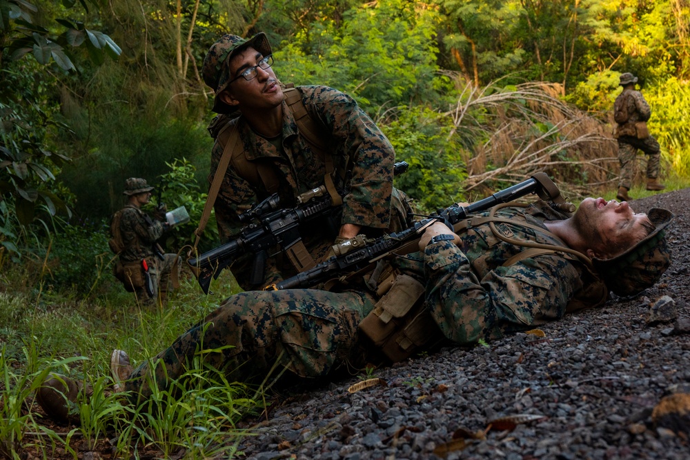 Running Through the Jungle