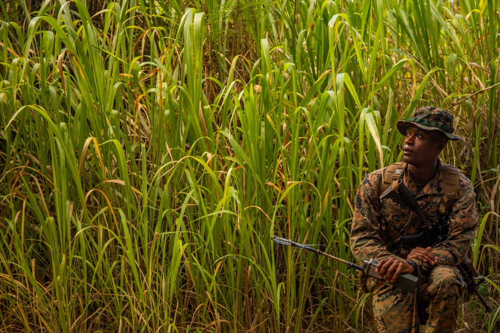 Running Through the Jungle