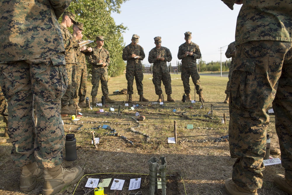 4th Marine Division Super Squad Alaska 2019