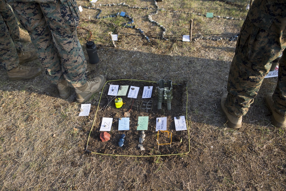 4th Marine Division Super Squad Alaska 2019