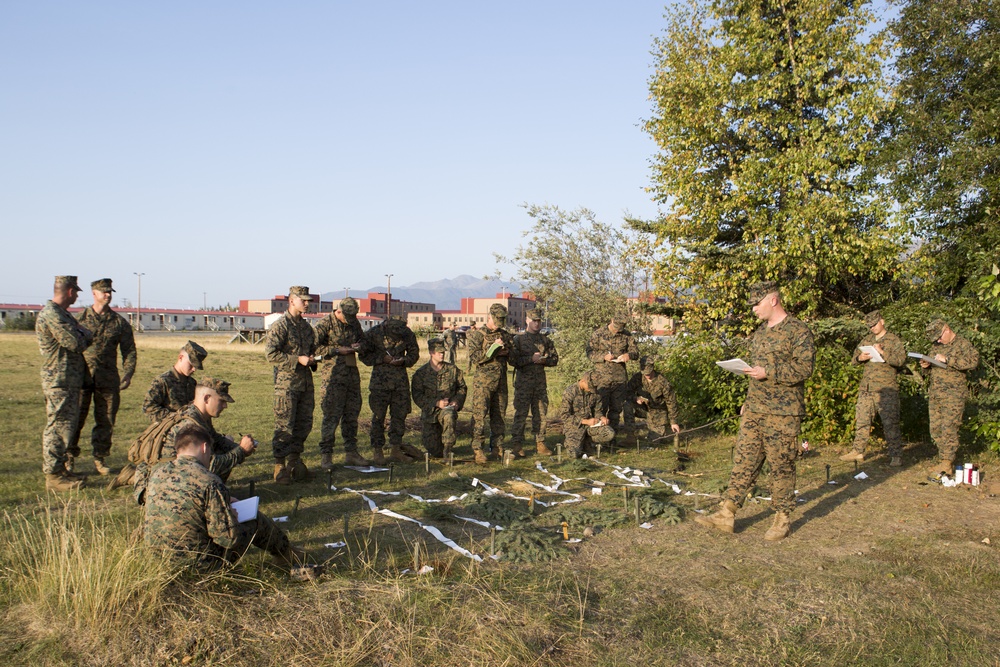 4th Marine Division Super Squad Alaska 2019