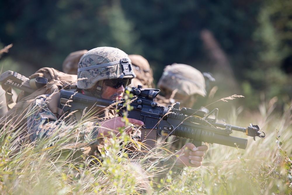 4th Marine Division Super Squad Alaska 2019