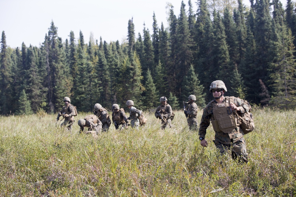 4th Marine Division Super Squad Alaska 2019