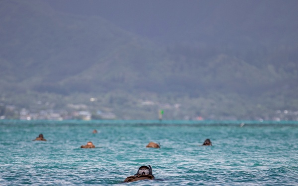 Scout Sniper Platoon conducts night and day amphibious training
