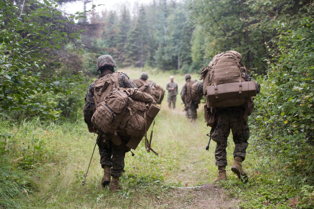 4th Marine Division Super Squad Alaska 2019