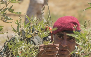 Peshmerga forces train to counter IED threat