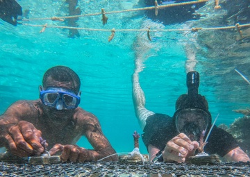 Exercise Cartwheel 2019 reef and coastal revitalization project