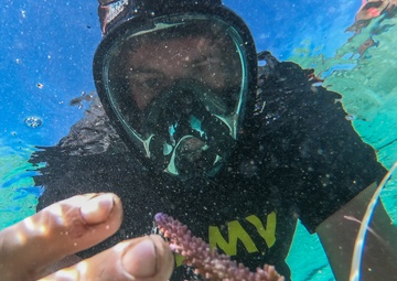 Exercise Cartwheel 2019 reef and coastal revitalization project