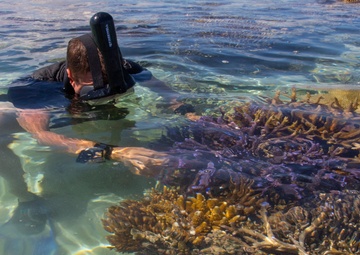 Exercise Cartwheel 2019 reef and coastal revitalization project