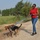Deployed Troops Building Legacy of Love For Animals Deployed Troops Building Legacy of Love For Animals