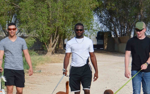 Deployed Troops Building Legacy of Love For Animals