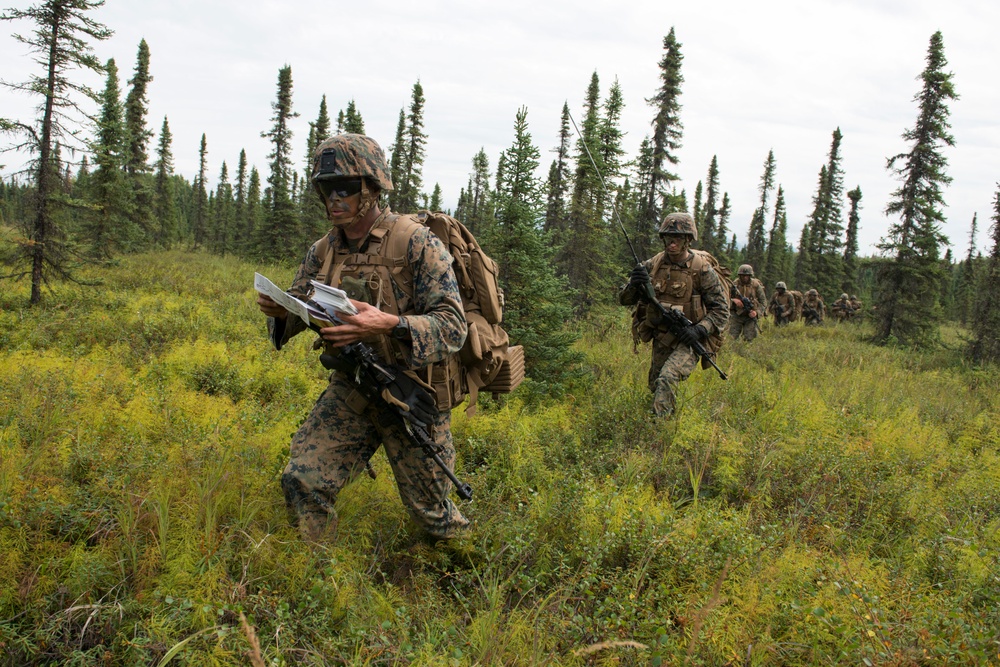 4th Marine Division Super Squad 2019