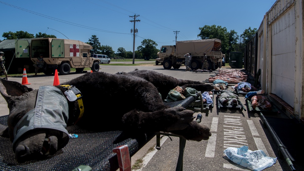 Mannequinville Prepares Simulated Casualties For Patriot Warrior