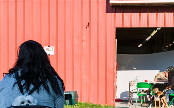 K-9 peek-a-boo at Appalachian Care 2019