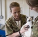 Kitten check-up at Appalachian Care 2019