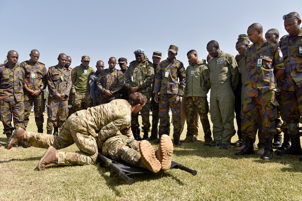 Strengthening partner nations capabilities