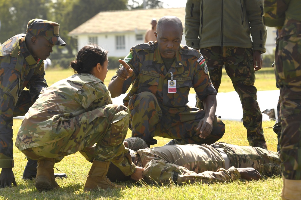 Strengthening partner nations capabilities