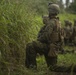 MRF-D Marines patrol through Tonga